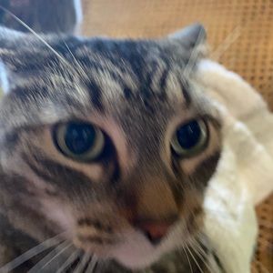 Meet your Posher, Joseph